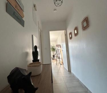 Saint-Jean-de Niost Apartamento | Charmant T3 proche plaine de l’Ain
