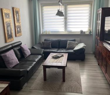 Pokrent Apartamento | Charmante 2 Zimmer-Wohnung 55qm mit Gartenblick