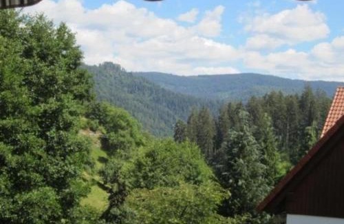 Forbach Apartamento | Charmante Wohnung in Bermersbach