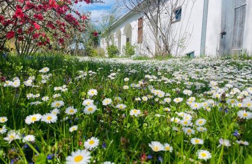 Csapod Casa | Charmantes Arkadenhaus mit großem Garten