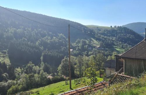 Ventron Cama Y Desayuno | Charmantes chambres d'hôtes en montagne, animaux admis sur accord - FR-1-589-729