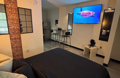 Deco Apartamento | Charming 1-bedroom Studio apartment in fabulous Houston with fitness room, WiFi