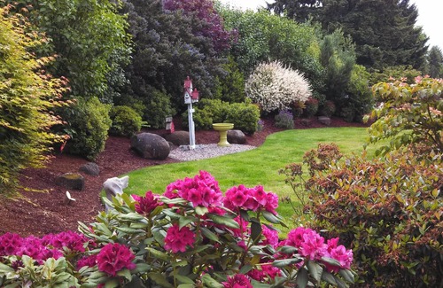Hillendale Cabaña | Charming 1-bedroom cottage in Oregon City