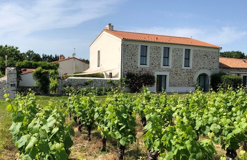 Chateau-Thebaud Cabaña | Gîte XVe s. en Vignoble avec Terrasse, Wi-Fi et Vélos – Près de Nantes