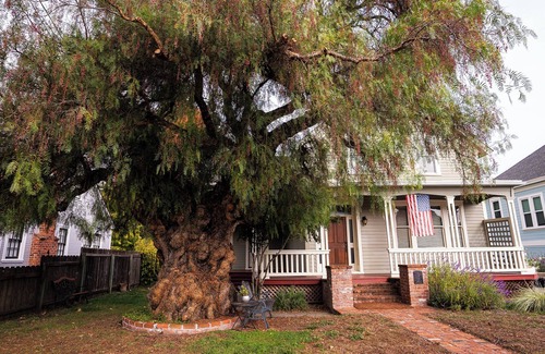 Petaluma Casa | Walking Historic West Petaluma-2bd / 2ba