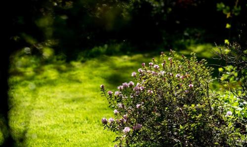 Thirsk Casa | Charming 18th Century property