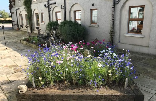 Mazetown Cabaña | Charming 3-Bed Cottage Moira - Hillsborough