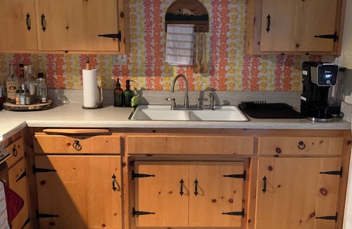 Fern Valley Cabina | Charming 3-bedroom cabin in Idyllwild-Pine Cove with WiFi