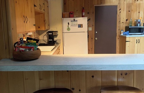 Fern Valley Cabina | Charming 3-bedroom cabin in Idyllwild-Pine Cove with WiFi