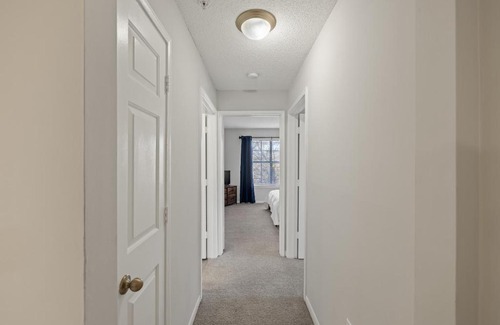 Athens Apartamento | Charming 3BR Athens Abode Near UGA and Downtown