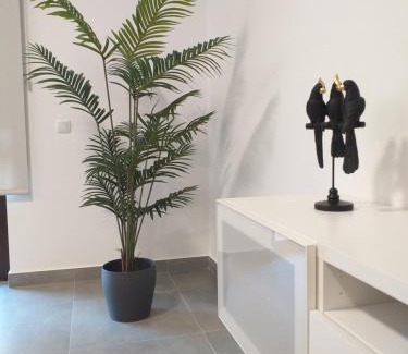 Lagos Apartamento | Charming Apartment A.M