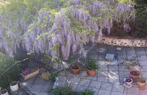 Reynes Apartamento | Beautiful, tranquil countryside setting between the Mediterranean and Pyrenees.