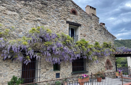 Reynes Apartamento | Beautiful, tranquil countryside setting between the Mediterranean and Pyrenees.