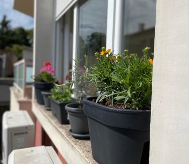 Lozenets Apartamento | Charming Beach Holiday Apartment