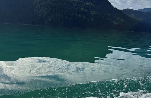 Kent Cama Y Desayuno | Charming Bed & Coffee in Agassiz 10 min to Harrison Hot Springs & Harrison Lake
