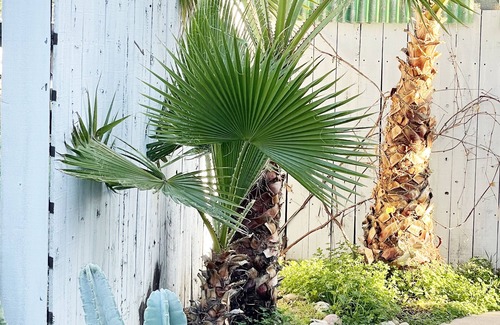 Ramona Casa | Charming Bungalow in-town Ramona