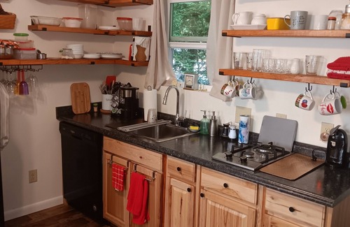 Pineola Cabina | Charming cabin nestled in a Blue Ridge mountain resort near ski resorts.