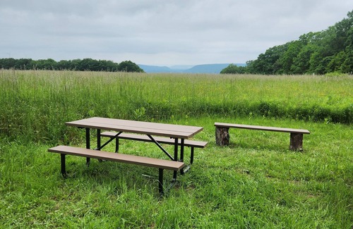 Cohocton Cabina | Charming cabin on 30 acres in the Bristol Hills of New York's Finger Lakes area,