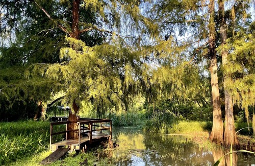 Plaquemine Cabina | Charming cabin on Lower Grand River — Bayou Pigeon, Louisiana