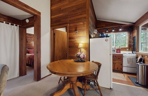 Langley Cabina | Charming cabin w/wifi, private backyard & convenient location