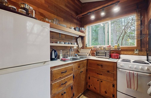 Langley Cabina | Charming cabin w/wifi, private backyard & convenient location