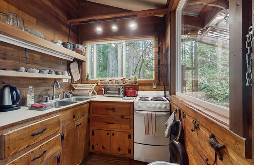 Langley Cabina | Charming cabin w/wifi, private backyard & convenient location