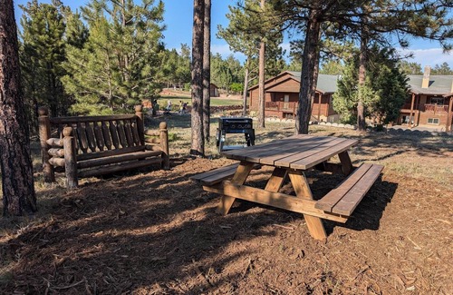 Hot Springs Cabina | Charming cabin with 1 bedroom and WiFi, AC in serene Custer
