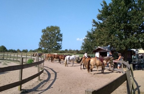 Fehmarn Alquiler De RV | Encantadora caravana en la soleada isla de Fehmarn