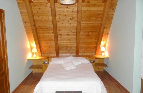 Vielha e Mijaran Chalet De Esquí | Charming Chalet in Viella, Mountain View