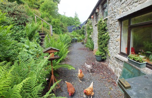 Llandovery Cabaña | Casa de campo con encanto, bosque de Crychan y Brecon Beacons