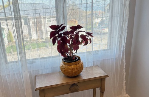 Hull Casa | Charming Coastal Retreat- Walk to Nantasket Beach 2-bedroom house with AC, WiFi