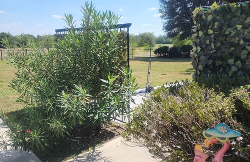 Cypress Cabaña | Charming cottage in Cypress with lake view ,WiFi, AC and relaxing outdoor patio.