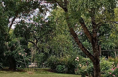 Arconnay Cabaña | Encantadora casa rural en Normandía con jardín y actividades emocionantes
