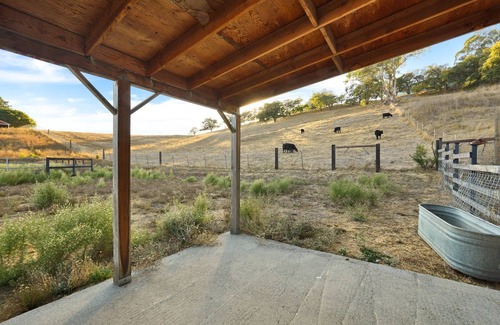 Petaluma Cabaña | Charming cottage in Petaluma, outside historic downtown 9 acres with great views