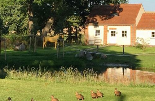 Groß Wokern Casa | Charming Cottage In The Heart Of Nature