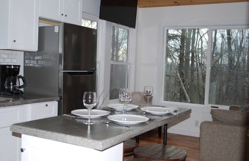 Asheville Cabaña | Charming Cottage Near Downtown, Parkway, and Biltmore