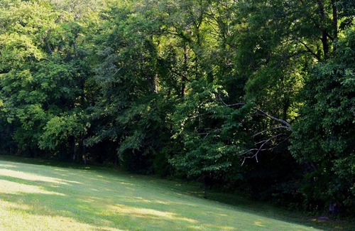 Woodbury Cabaña | Encantadora Humilde Morada en 18 acres