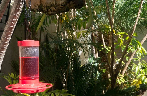 North Park Cabaña | Cottage con Encanto W / Garden es refugio idílico en el ambiente urbano