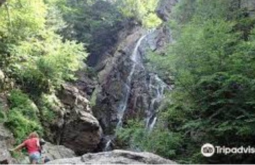 Dryden Cabaña | Charming Cottage - Walking Distance to Wilson Lake + Main Street