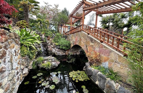 Castro Valley Cabaña | Charming cottage with Koi Pond