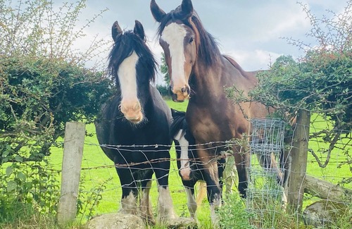 Ballymoney Cabaña | Charming Countryside Retreat At Ganaby Cottage, Ganaby Farm