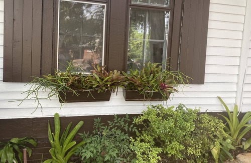 Rutherfordton Casa | CHARMING DOWNTOWN HISTORIC HOME IN THE HEART Of IT ALL!!