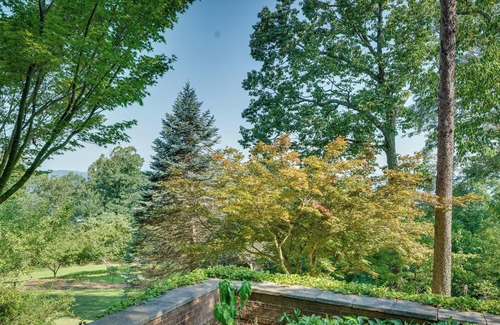 Bostic Cabina | Charming Ellenboro Cabin on 12 Acres w/ Courtyard!