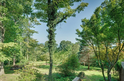 Bostic Cabina | Charming Ellenboro Cabin on 12 Acres w/ Courtyard!