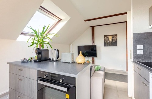 Erstein Apartamento | Charming F2 in Erstein Comfort