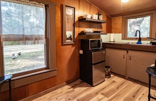 Lake Placid Cabina | Charming+Free HorsebackRiding+Petting Farm