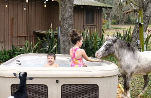 Lake Placid Cabina | Charming+Free HorsebackRiding+Petting Farm