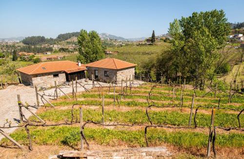 Castelo de Paiva Casa | Charming House Fornos + Pool