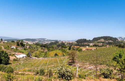Castelo de Paiva Casa | Charming House Fornos + Pool
