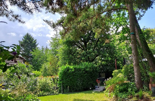 Steinbach Casa | Charming House in the Taunus